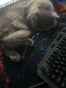 Leo-Cock online show from March 26, 9:57 am