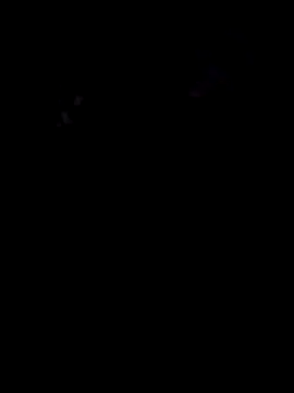 Ak0904 online show from November 4, 5:47 pm