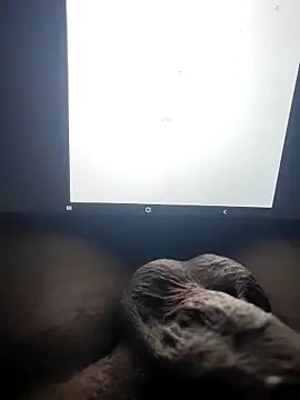 montero 3535 online show from September 29, 8:16 pm