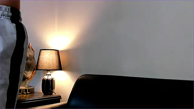 Snapshot of BradLeon_ chatting on September 23, 8:19 pm BradLeon online show from September 23, 8:19 pm
