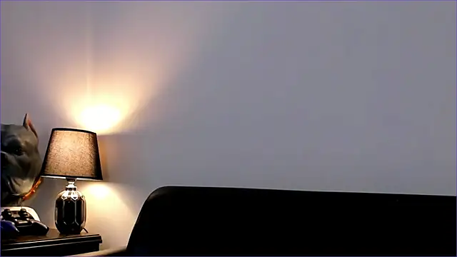 Snapshot of BradLeon_ chatting on September 22, 8:08 pm BradLeon online show from September 22, 8:08 pm