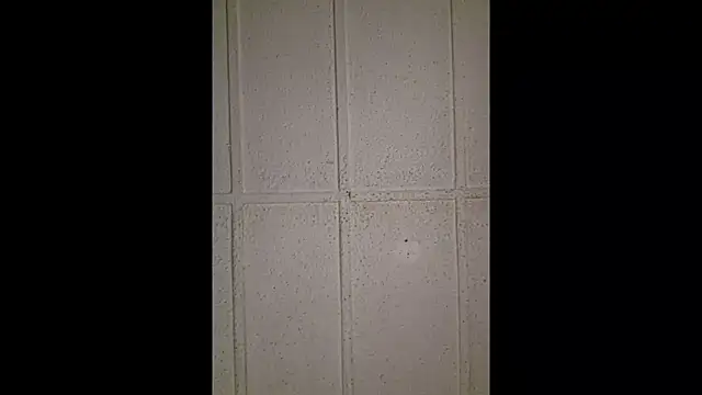 Snapshot of zaneporter46 chatting on October 30, 10:44 pm zaneporter46 online show from October 30, 10:44 pm