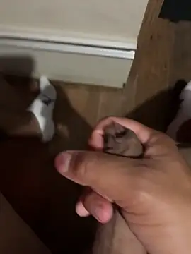 morenopauzudo249 online show from January 7, 2:01 am