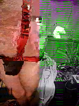 StruggleSnuggles online show from November 18, 9:02 am