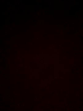 jpsexo247 online show from November 13, 5:23 am