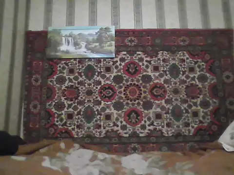 AlferezzSolvajo online show from November 14, 8:54 pm