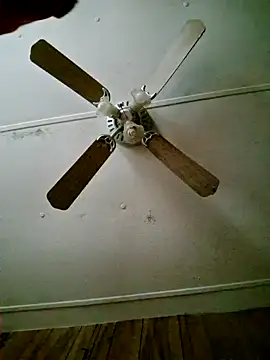 mau1223 online show from November 11, 3:06 pm