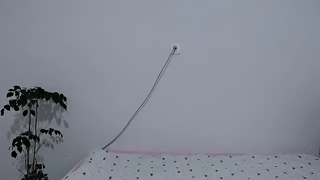                     88 online show from February 3, 9:53 pm