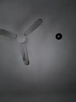 danieluchiha online show from January 11, 11:24 pm