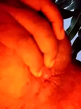 Siku786 online show from January 13, 1:06 pm