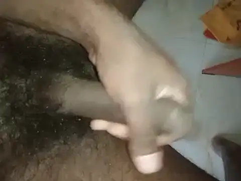 world bigdick1 online show from March 9, 11:26 am