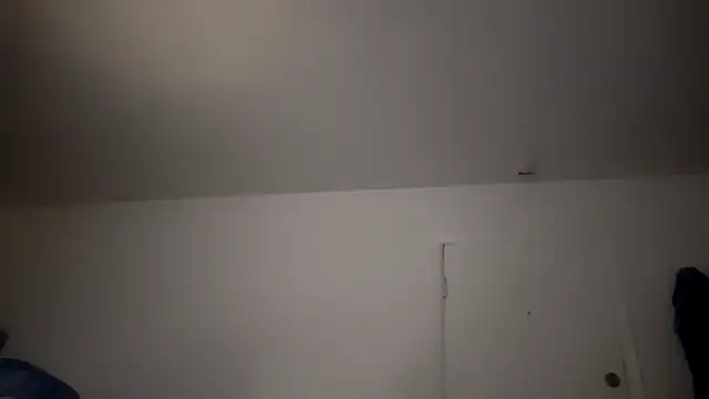 Hippieinwiss online show from December 9, 10:48 pm