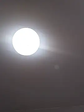 Denispvanft online show from January 12, 12:42 pm