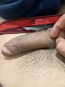 blzin20 online show from February 2, 3:43 am