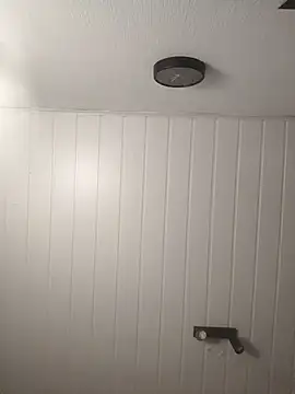 leinadanal online show from February 12, 12:05 am