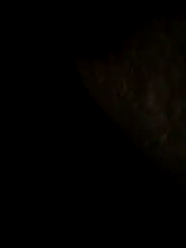 cumcum94 online show from October 20, 4:27 am