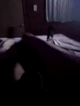 yac 24 online show from March 26, 5:44 am