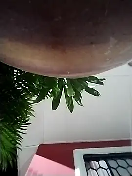 ladobless200793 online show from January 14, 4:06 am