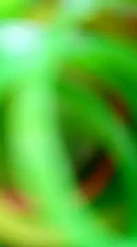 Desicpl69 online show from March 17, 5:12 am