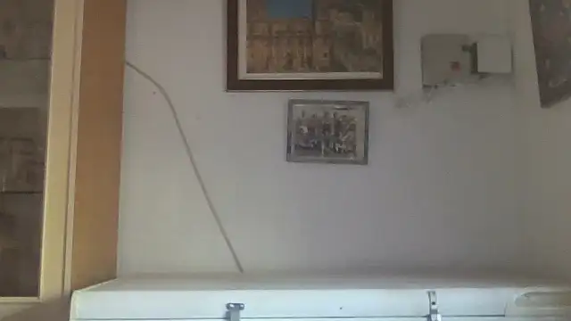 Snapshot of llopaco chatting on September 12, 4:29 pm llopaco online show from September 12, 4:29 pm