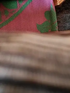 cocktony online show from January 13, 9:35 am