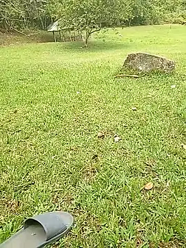 Mycansonhot online show from October 23, 4:54 pm