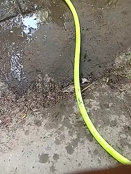 bairobunde online show from April 13, 8:26 am