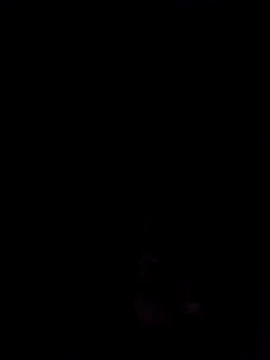 SirJonBradley online show from November 6, 11:57 am