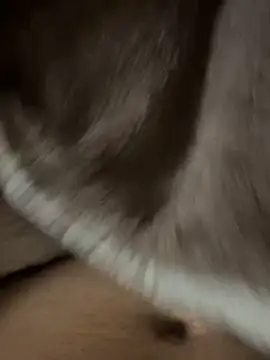 sohasenki online show from April 13, 5:19 am