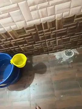 RightFielder online show from January 15, 4:05 am