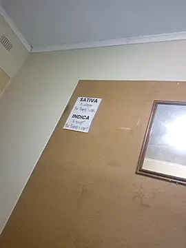 bakedsnackmmh online show from March 30, 6:09 pm