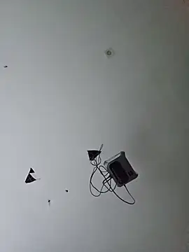 membro destruidor online show from June 12, 10:13 am