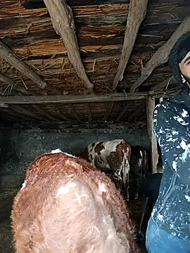 Zor12347 online show from February 4, 12:00 pm