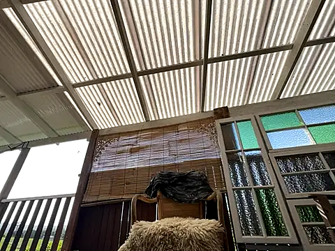 mastertittiefkr online show from November 13, 5:45 am