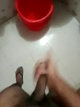 zim200 online show from November 24, 12:00 am