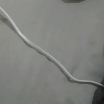 GuilhermeYuree online show from March 6, 4:42 am