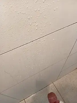 Luan 11839 online show from December 13, 8:04 pm