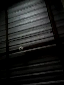 Snapshot of Ortiz3404 chatting on October 20, 5:22 am Ortiz3404 online show from October 20, 5:22 am