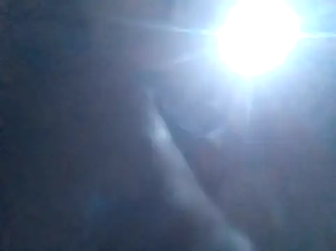 S C1 online show from February 5, 2:13 pm