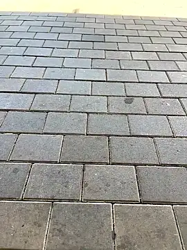 kamo012000 online show from October 2, 10:08 am