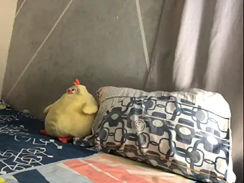 Cesar Augusto online show from March 13, 10:45 am