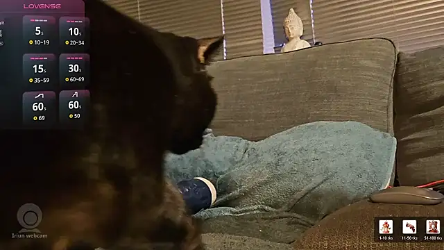 MstrWulf online show from April 6, 4:42 am