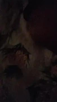 Pornoforpyros online show from September 25, 4:33 am