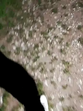 ARTANIS20 online show from October 21, 8:12 pm