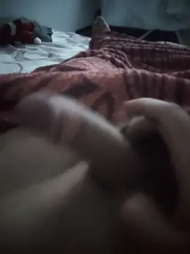 REAL Z13 online show from January 16, 4:04 am