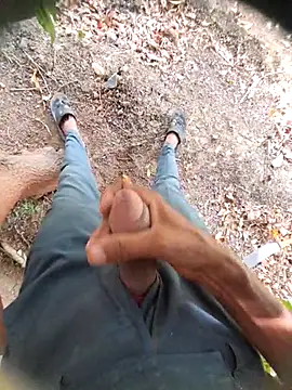 Desi Horny Boys online show from June 23, 9:58 am