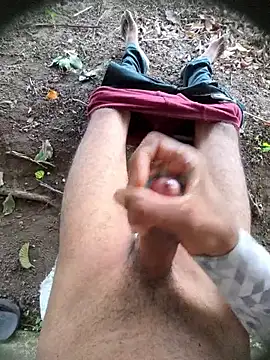 Desi Horny Boys online show from June 18, 4:47 am