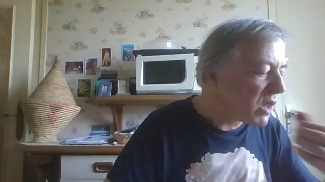 gegevincent online show from April 24, 1:35 pm