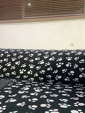 cody fox10 online show from April 25, 11:13 pm