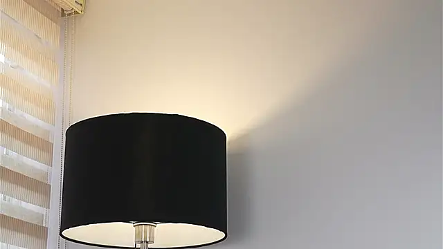 Snapshot of DeusbelliS chatting on October 12, 8:36 pm DeusbelliS online show from October 12, 8:36 pm